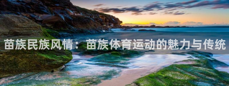 vsport体育官网下载招商电话地址是多少