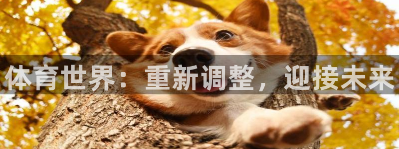 vsport体育官网下载招商电话地址查询：体育世界：重新调整