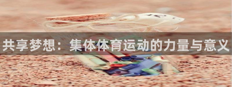 vsport体育官方正版app神州：共享梦想：集体体