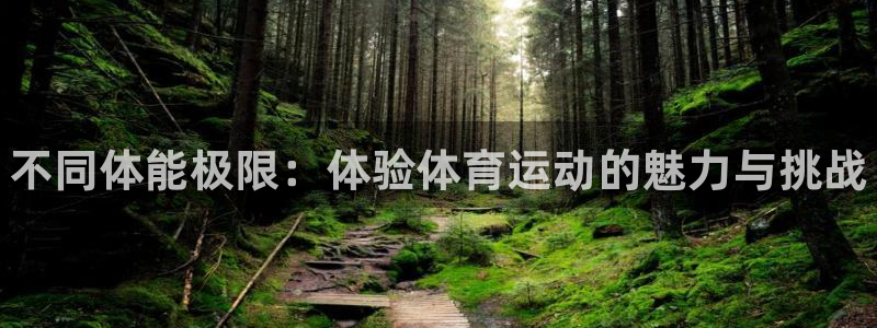 vsport体育官方正版app科技