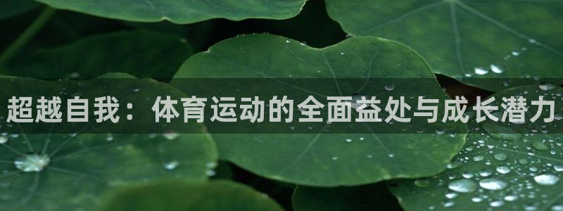 vsport体育官方正版app官网：超越自我：体育运
