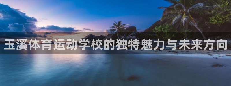 vsport体育官方正版app集团官网首页：玉溪体育运动学校
