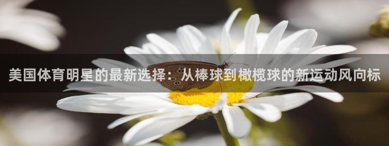 vsport体育官方正版app官网：美国体育明星的最新选择：