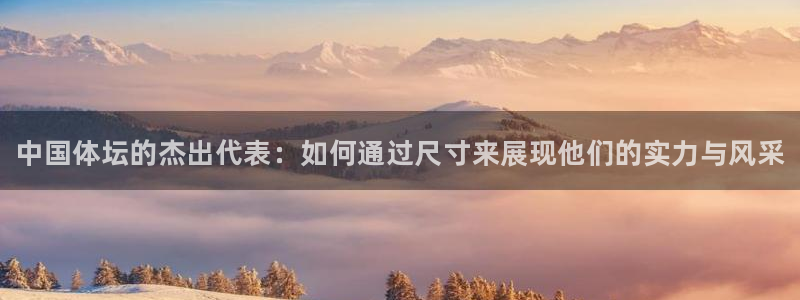 vsport体育官网下载联系电话