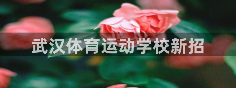 vsport体育官方平台体育