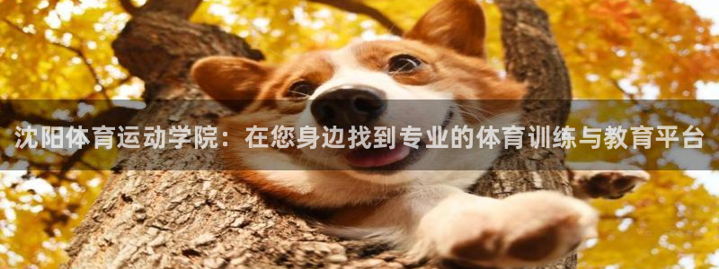 vsport体育官网下载招商