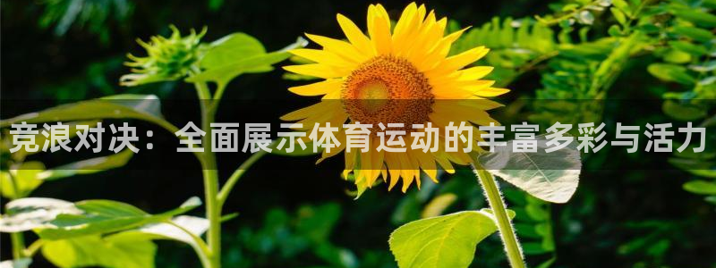 vsport体育官网下载官方客服电话