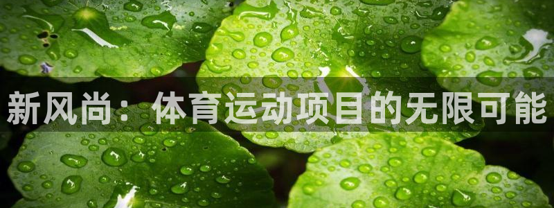 vsport体育官网下载招商：新风尚：体育运动项目的无限可能
