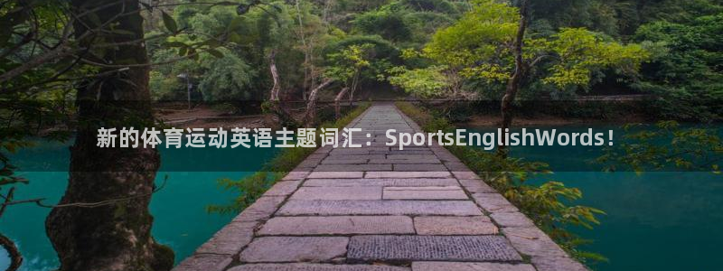vsport体育官网下载平台注册要钱吗：新的体育运动英语主题