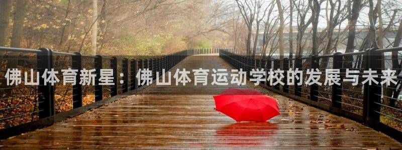 vsport体育官网下载平台APP