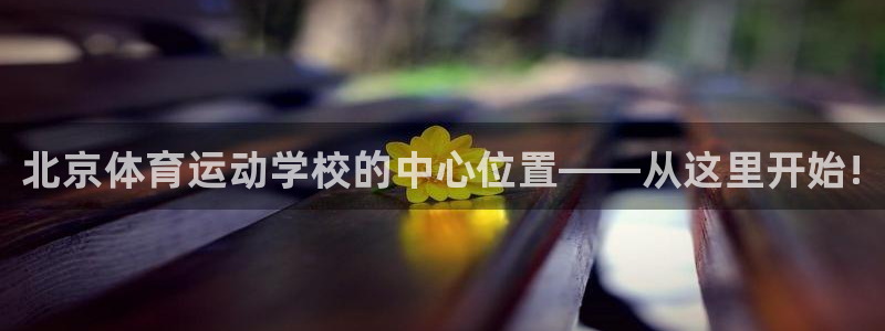 vsport体育官方正版app五金厂：北京体育运动学校的中心