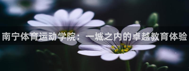德国vsport体育官方正版app集团：南宁体育运动学院：一