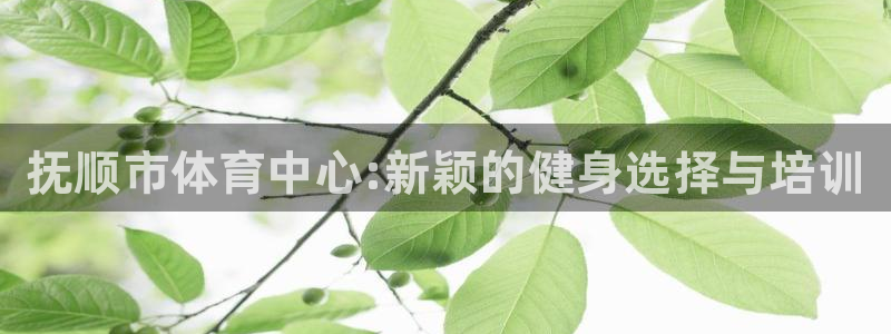 vsport体育官网下载注册：抚顺市体育中心:新颖的健身选择