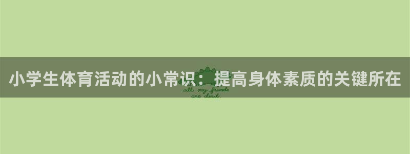 vsport体育官网下载平台是正规平台吗：小学生体育