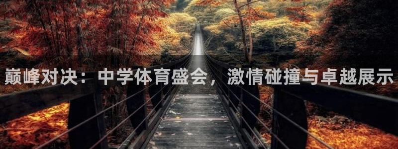 vsport体育官方正版app娱乐首页网站大全：巅峰