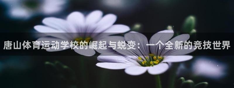 vsport体育官网下载注册：唐山体育运动学校的崛起与蜕变：
