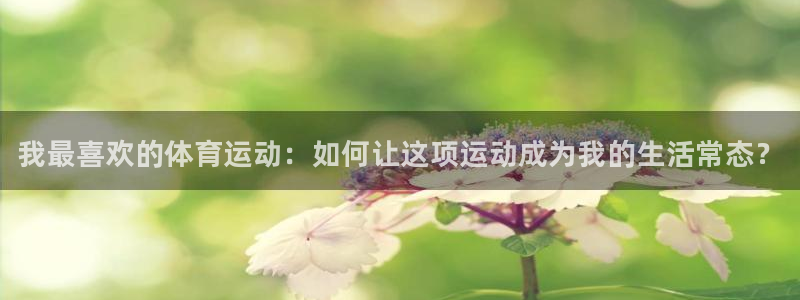 vsport体育官方正版app娱乐平台：我最喜欢的体育运动：