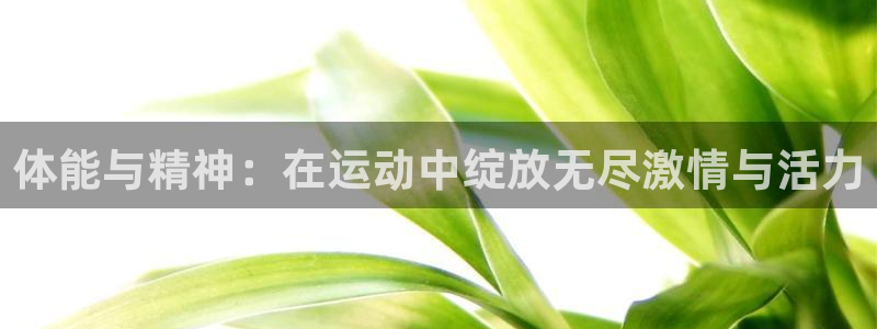 vsport体育官方平台体育：体能与精神：在运动中绽放无尽激