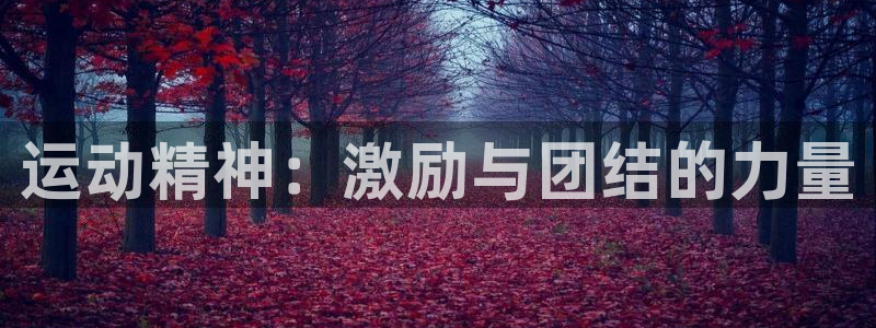 vsport体育官方正版app娱乐平台：运动精神：激
