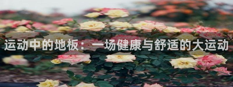 vsport体育官网下载官方客服电话：运动中的地板：