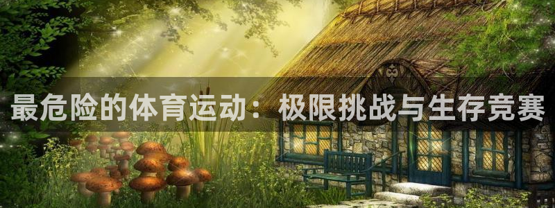 vsport体育官方正版app娱乐网站：最危险的体育