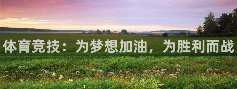 vsport体育官网下载招商电话地址是多少：体育竞技
