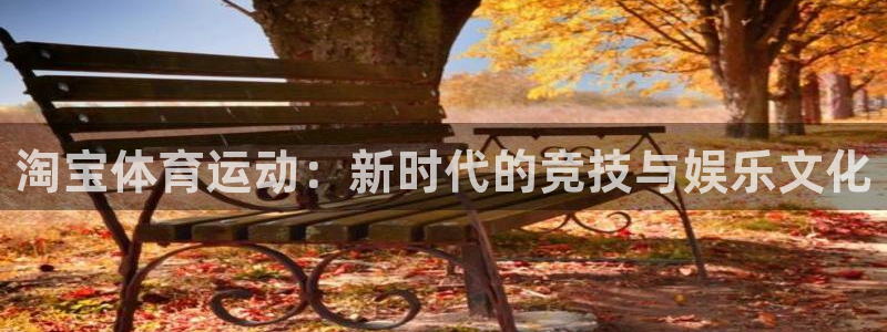 德国vsport体育官方正版app集团：淘宝体育运动：新时代