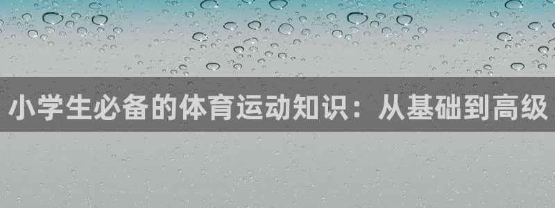 vsport体育官方正版app娱乐：小学生必备的体育运动知识