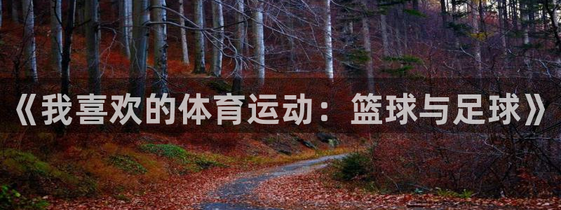 海南vsport体育官网下载发展怎么样