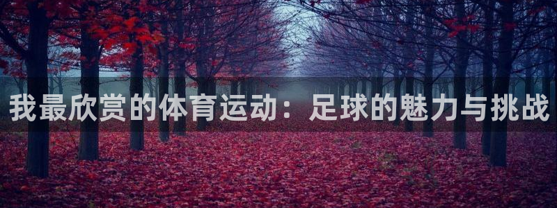 vsport体育官方正版app五金厂：我最欣赏的体育