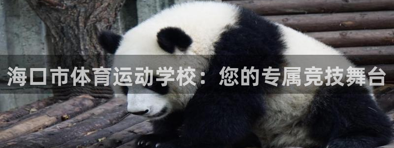 vsport体育官网下载软件：海口市体育运动学校：您的专属竞