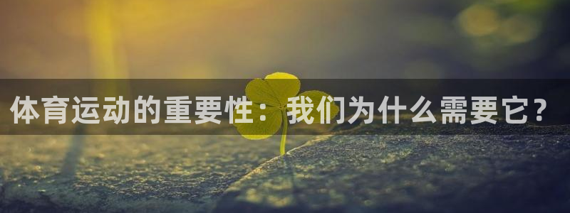 vsport体育官网下载招商电话地址