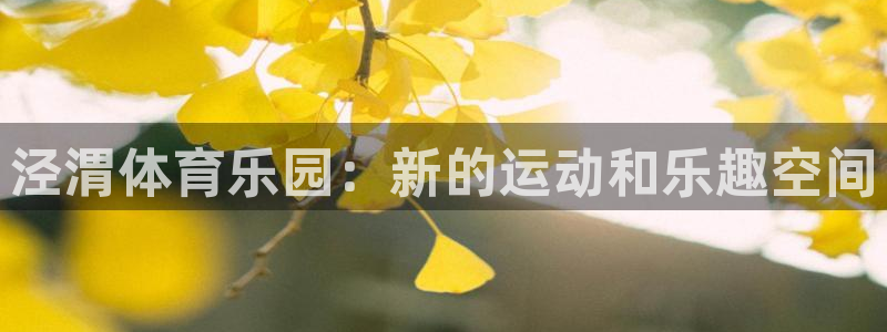 vsport体育官网下载招商