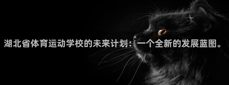 vsport体育官网下载招商：湖北省体育运动学校的未来计划：