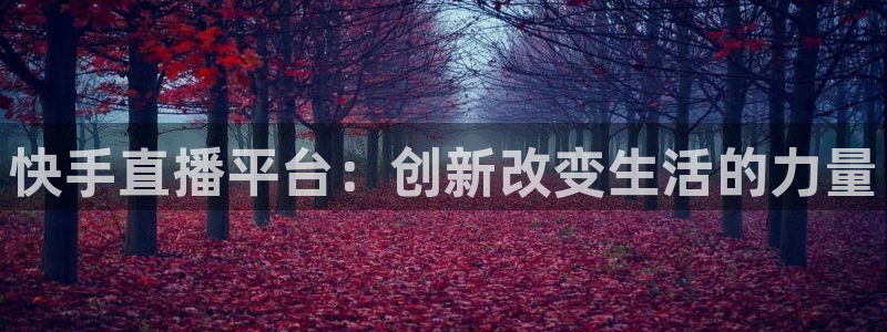 so米nba直播吧：快手直播平台：创新改变生活的力量