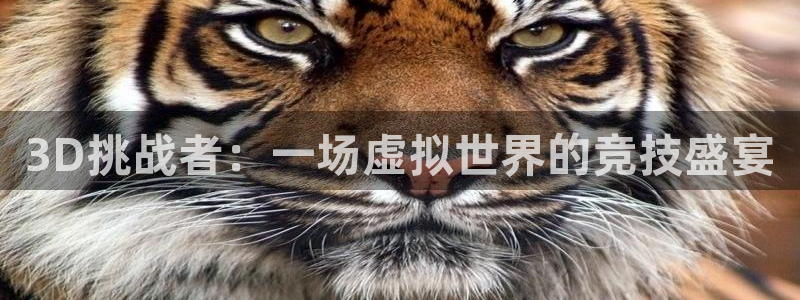 so米综合体育直播平台：3D挑战者：一场虚拟世界的竞技盛宴