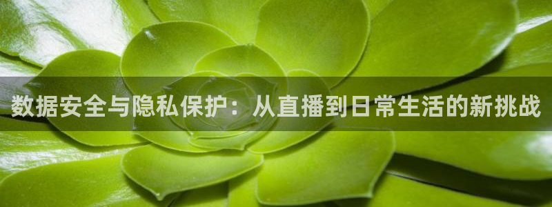 nba直播so米：数据安全与隐私保护：从直播到日常生活的新挑战