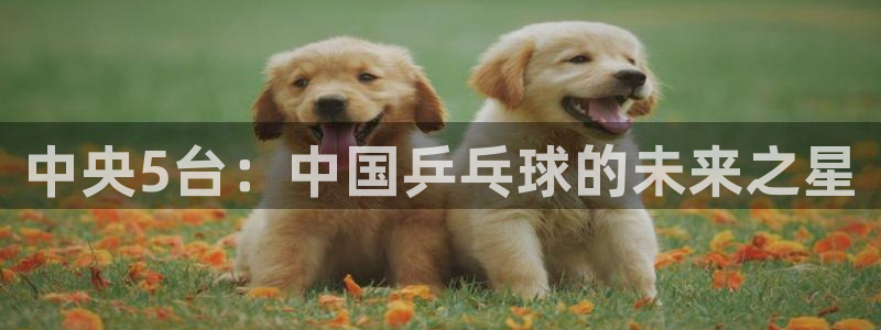 so米直播体育：中央5台：中国乒乓球的未来之星