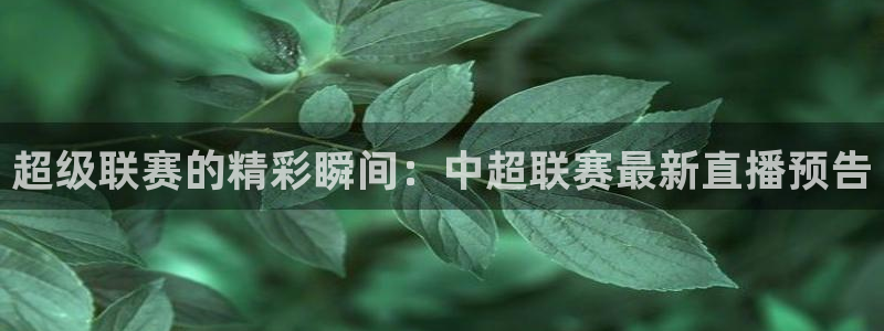 so米nba体育直播：超级联赛的精彩瞬间：中超联赛最新直播预告