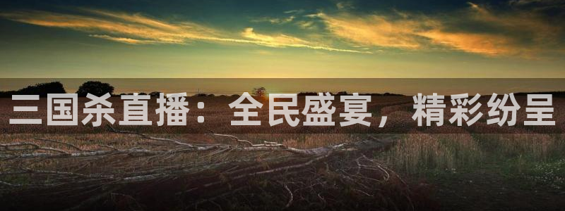 so米综合体育直播平台：三国杀直播：全民盛宴，精彩纷呈